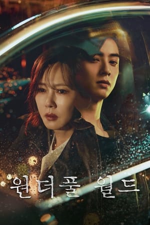 Poster 원더풀 월드 2024