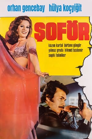 Şoför