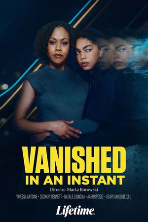 Vanished in an Instant
