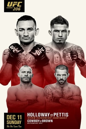 Poster UFC 206: Holloway vs. Pettis 2016