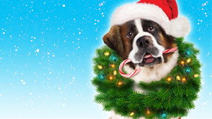 Beethoven: Aventura de Natal