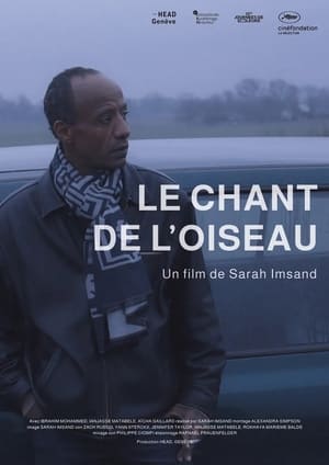 Image Le chant de l’oiseau