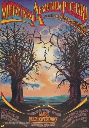 Poster Między ustami a brzegiem pucharu 1987