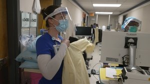 The Parallel Pandemic