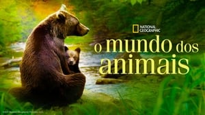 Familia de Animales