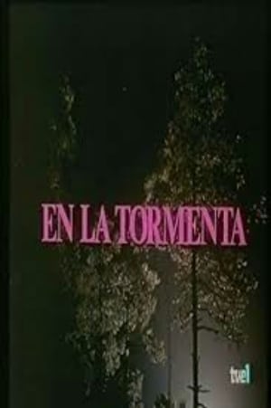 Poster En la tormenta 1982