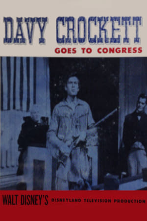 Davy Crockett Goes to Congress poster