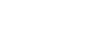 O Coelhinho de Veludo