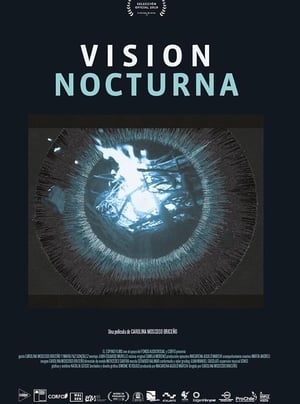 Poster Vision nocturna 2019