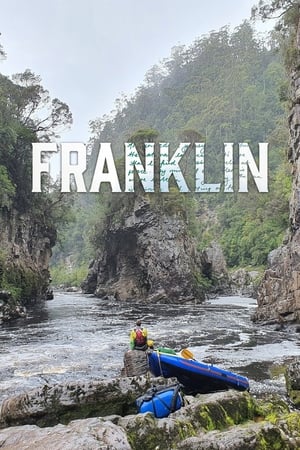 Poster Franklin (2022)