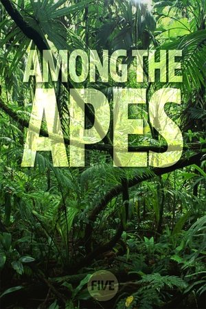 Image Among the Apes