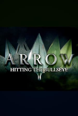 Arrow: Hitting the Bullseye poster