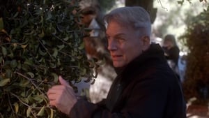 Agenci NCIS: s11 e12 PL