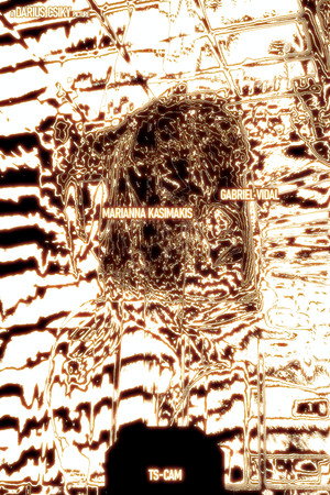 TS-CAM 22