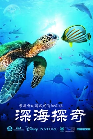 Poster 深海探奇 2009