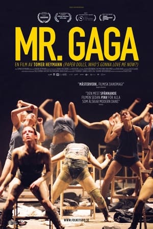 Image Mr. Gaga