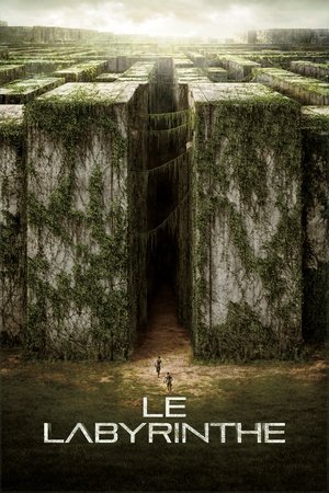 poster The Maze Runner