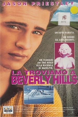 Poster La troviamo a Beverly Hills 1993