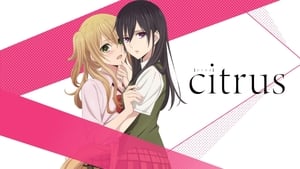 poster Citrus