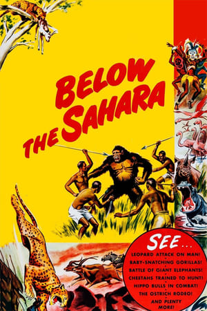 Poster Below the Sahara (1953)