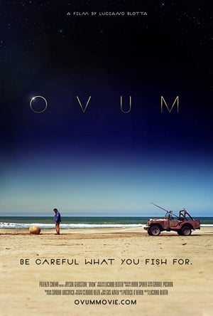Poster Ovum 2017