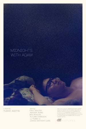 Image Midnights with Adam