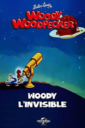  Woody L'Invisible affiche 