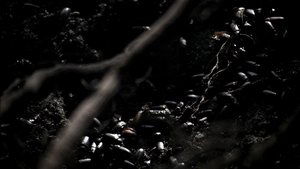 Supernatural Season 1 Episode 8