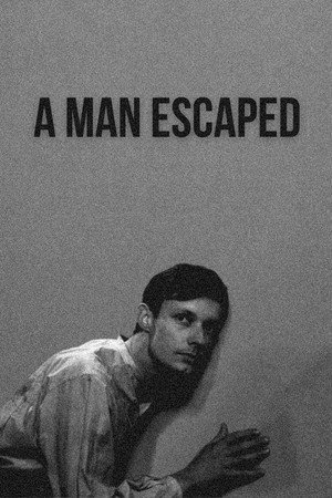 A Man Escaped 18