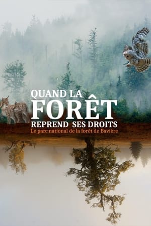 Quand la forêt reprend ses droits - Le parc national de la forêt de Bavière 2021
