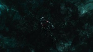 Ant-Man and the Wasp (2018)