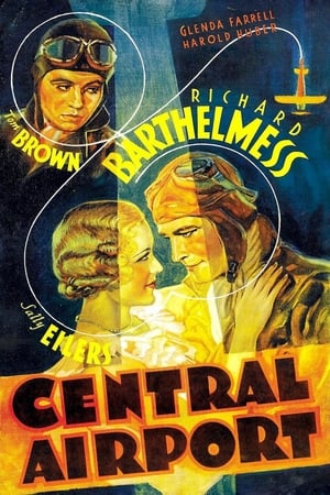 Poster Aeropuerto Central 1933