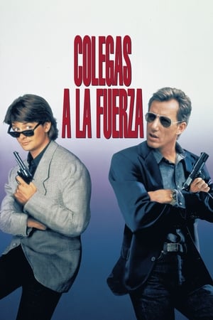 Poster Colegas a la fuerza 1991