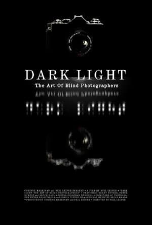 Poster Dark Light: The Art of Blind Photographers 2009