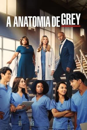 poster Grey's Anatomy - Season 3 Episode 11 : Six Days (1)