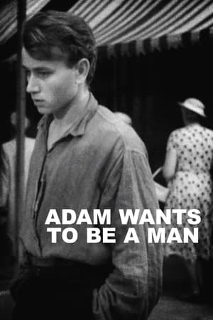 Poster Adam Wants to Be a Man (1960)