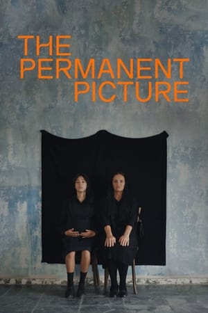 Poster The Permanent Picture 2023