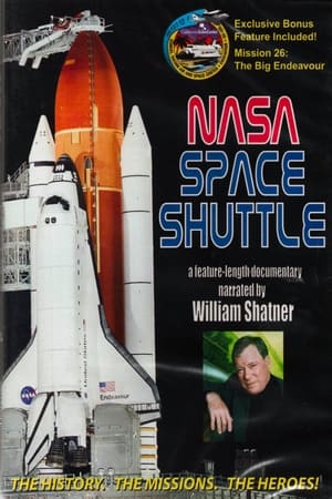 Image The Space Shuttle