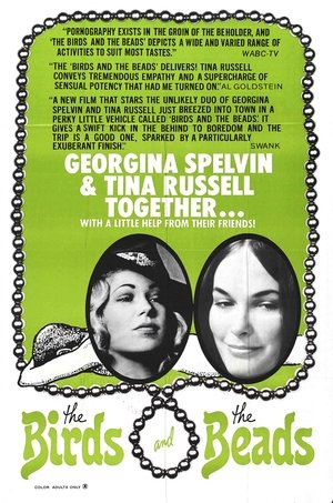 Poster The Birds and the Beads (1973)