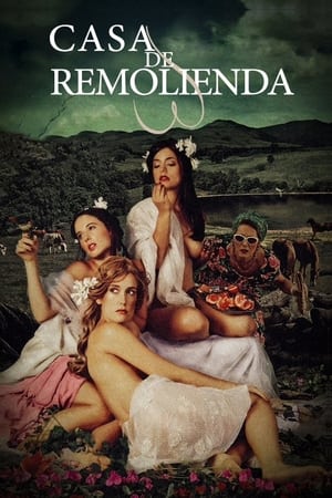 Poster Casa de remolienda 2007