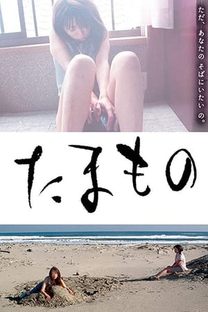 Poster 도시락 2004