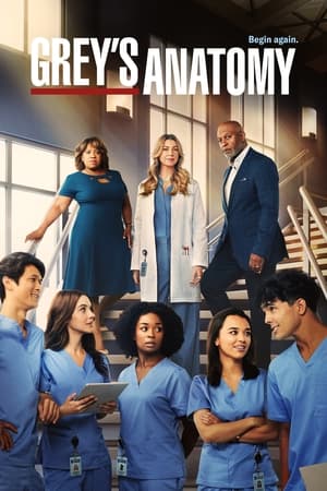 poster Grey's Anatomy - Season 3 Episode 19 : My Favorite Mistake