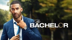 poster The Bachelor