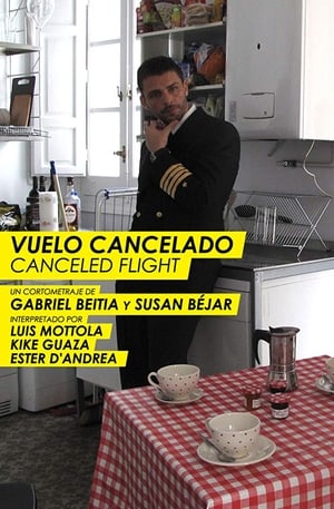 Poster Canceled Flight 2011