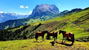 La Grande Bellezza – Vite segrete e luoghi nascosti d’Italia 2011 En Netflix