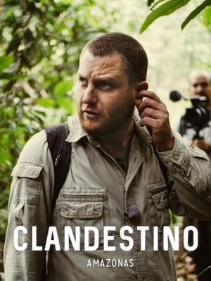 Image Clandestino - Das organisierte Verbrechen am Amazonas