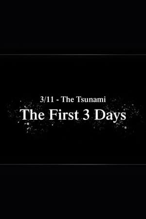 Image 3/11 - The Tsunami: The First 3 Days