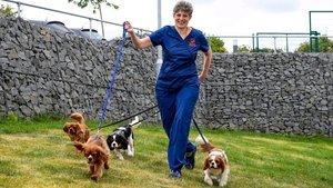 24/7 Pet Hospital Episode 8