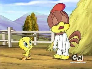 Baby Looney Tunes Season 2 Episode 18