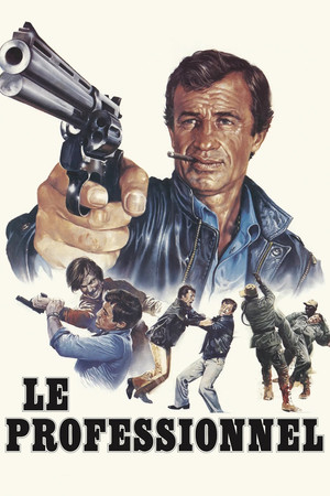 The Professional 58